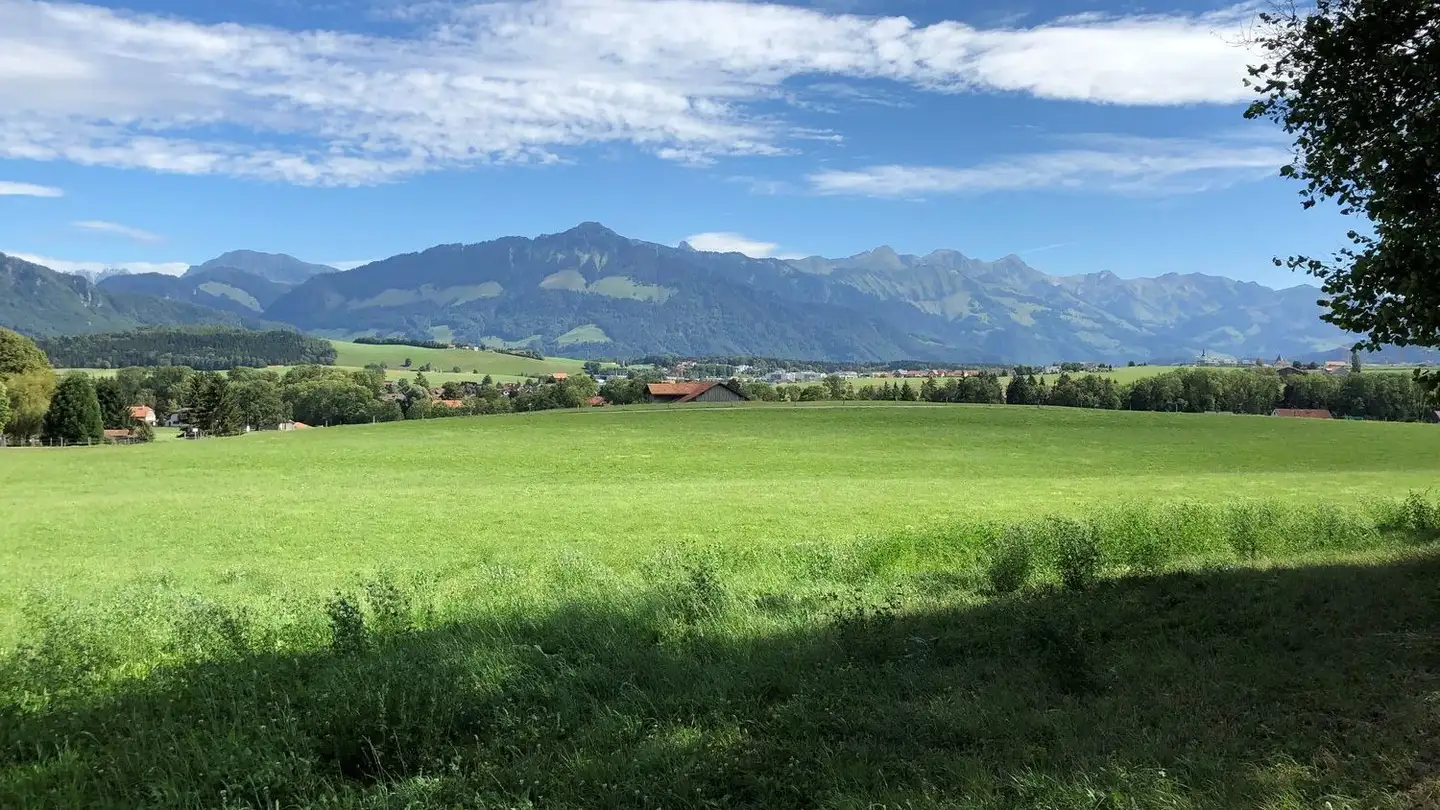 Terreno edificabile in vendita - Route Champ-Jordan, 1632 Riaz - Photo 2