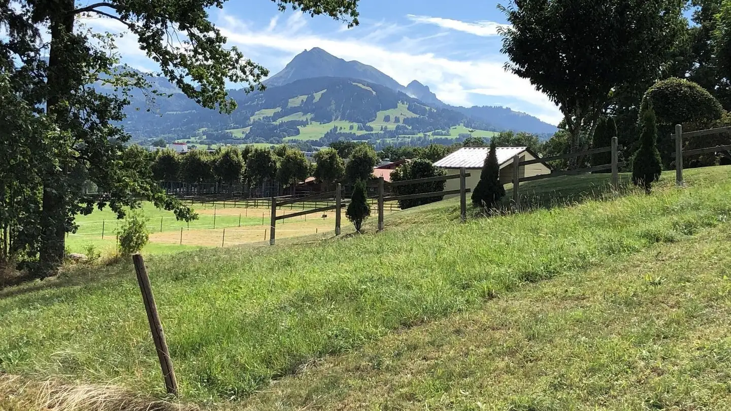 Terreno edificabile in vendita - Route Champ-Jordan, 1632 Riaz - Photo 3