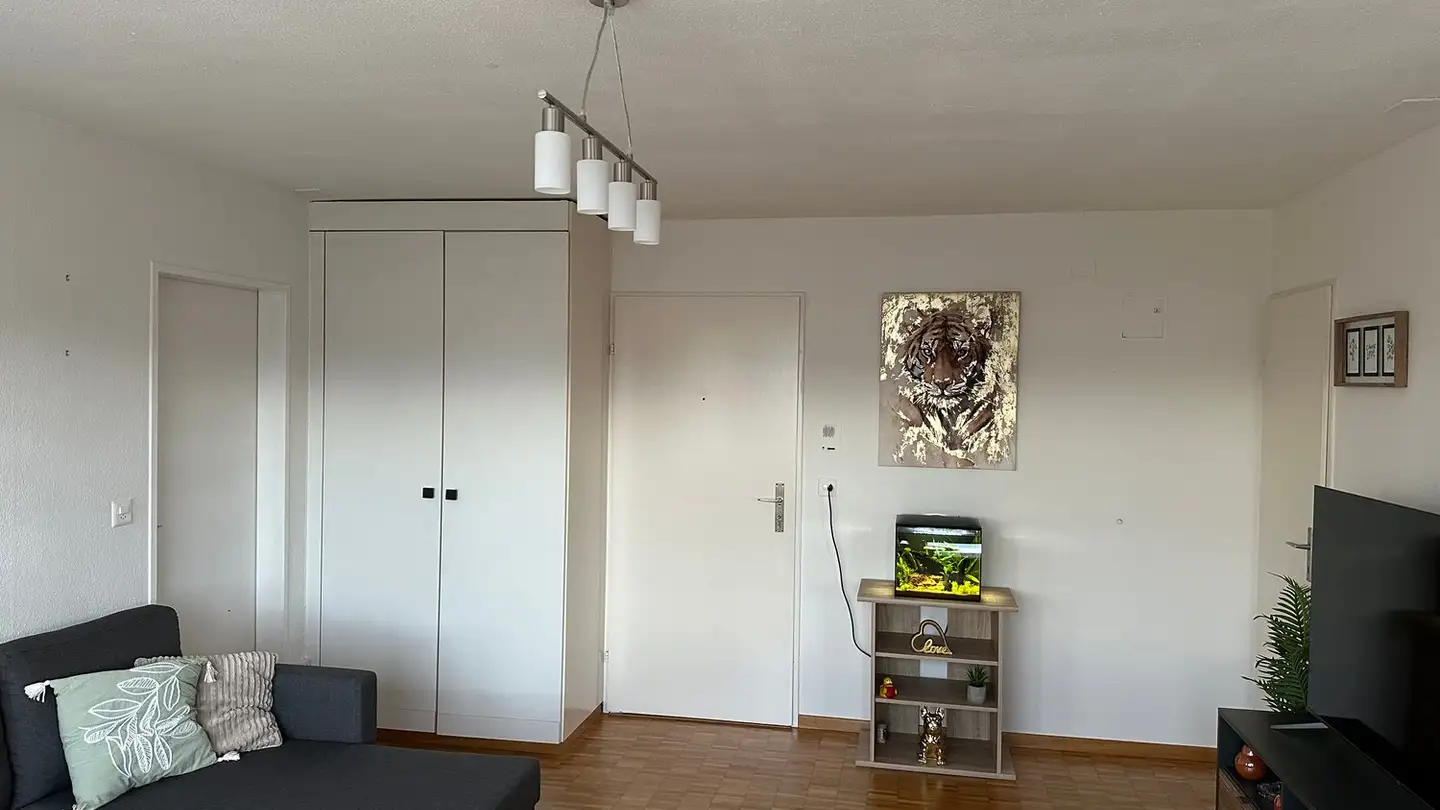 Apartment for rent - Alte Landstrasse 3, 8820 Wädenswil - Photo 3