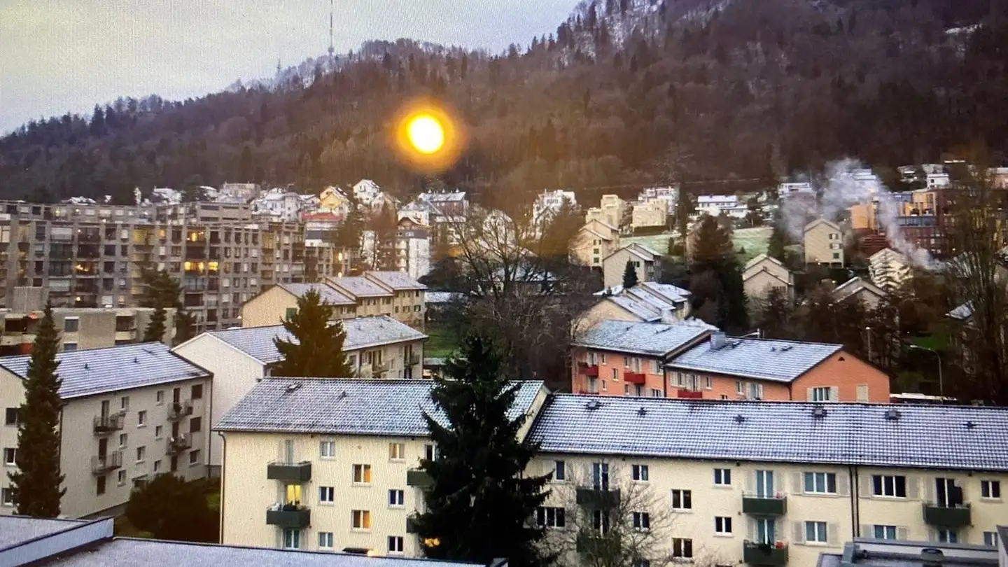 Chambre à louer - 8047 Zürich - Photo 2