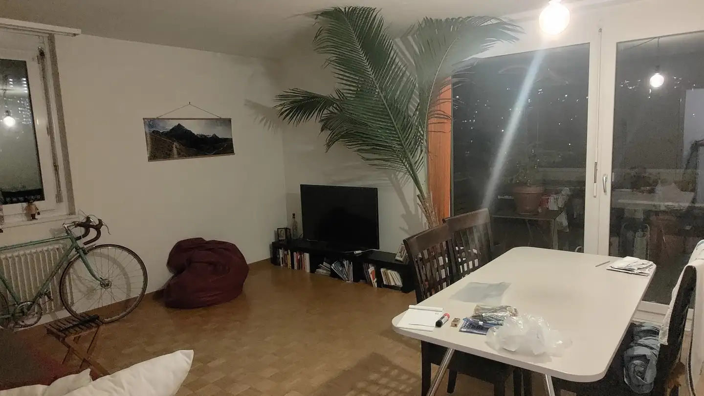 Chambre à louer - 8047 Zürich - Photo 3