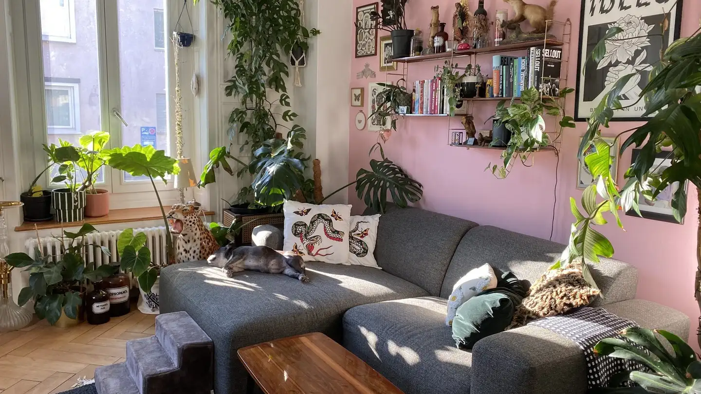 Zimmer mieten - 8050 Zürich