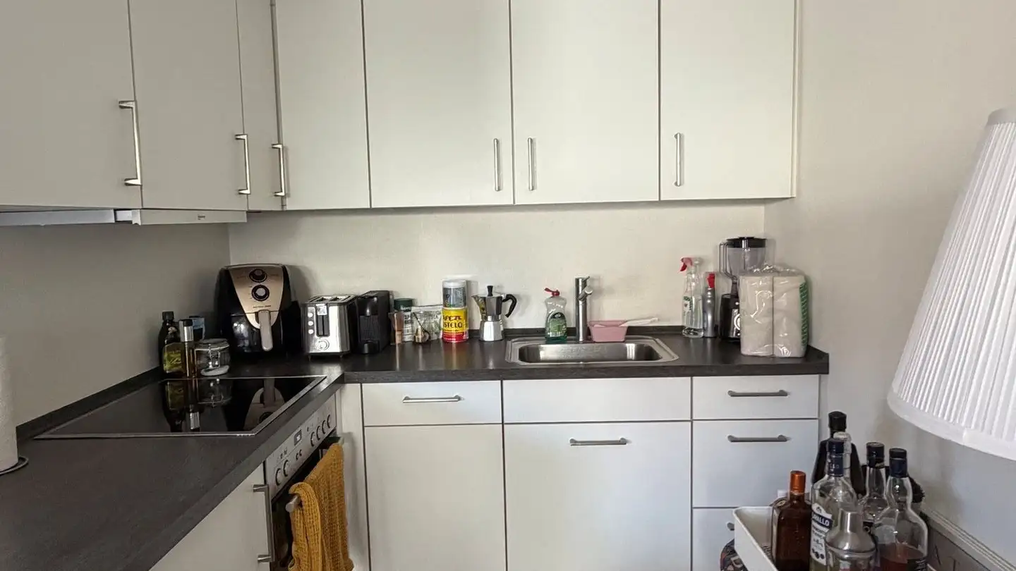 Furnished apartment for rent - Feldeggweg 4, 8810 Horgen - Photo 4