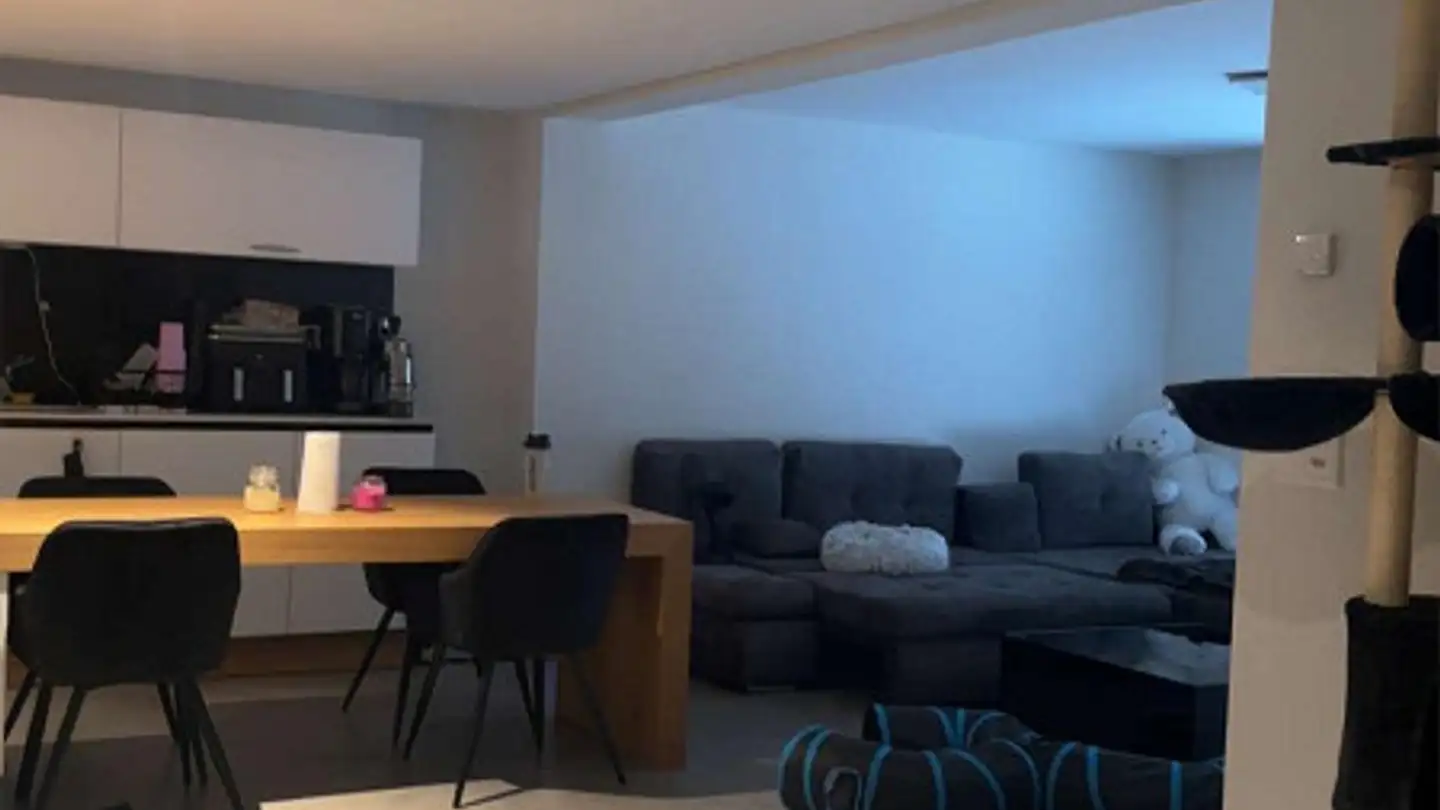 Wohnung mieten - Hauptstrasse 4, 8215 Hallau - Foto 3