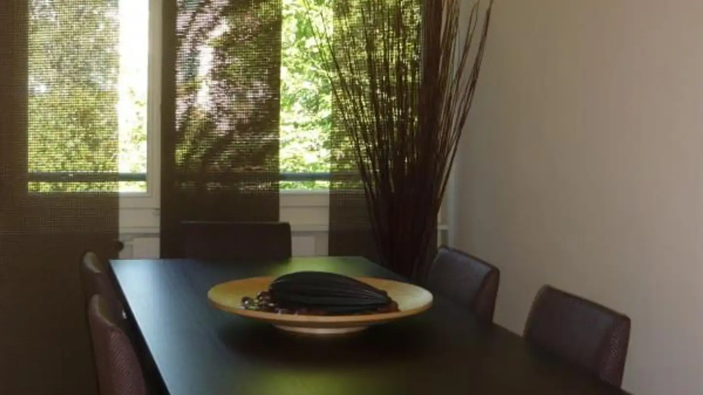 Appartamento in affitto - 1245 Collonge-Bellerive - Foto 4