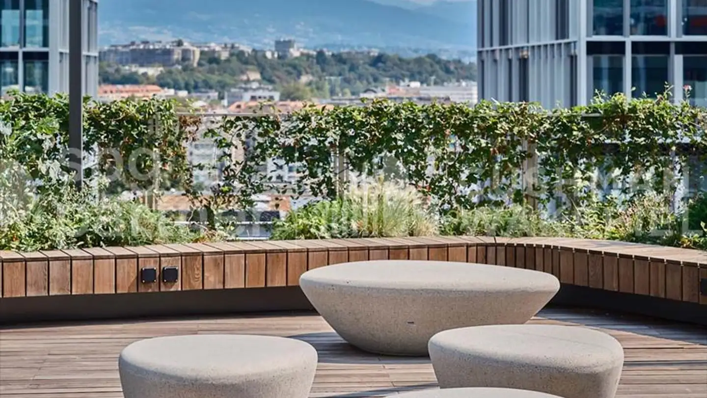 Spazio ufficio in affitto - Esplanade De Pont-Rouge 9, 1212 Grand-Lancy - Foto 4