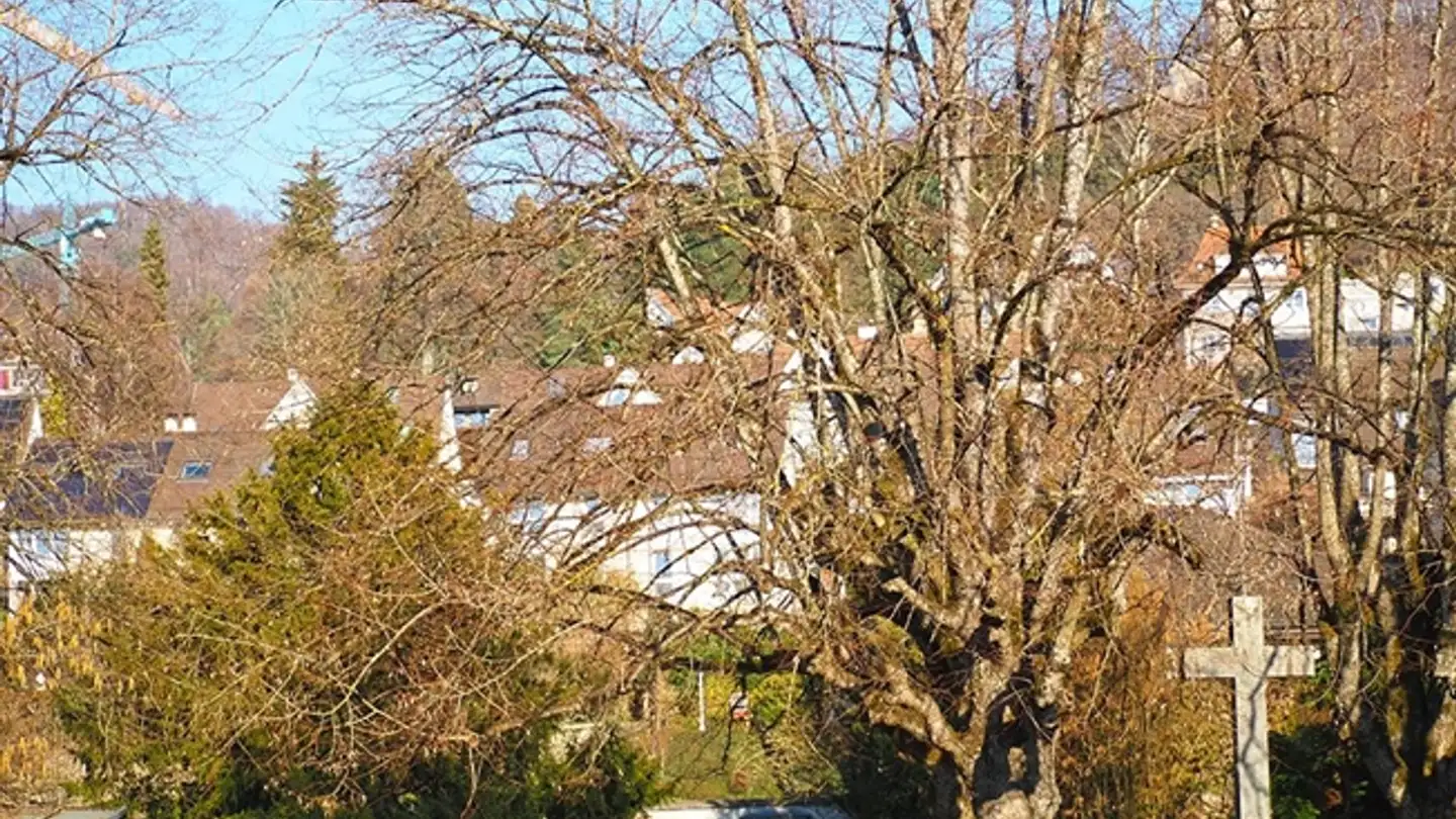 Villa in vendita - 4144 Arlesheim - Photo 2