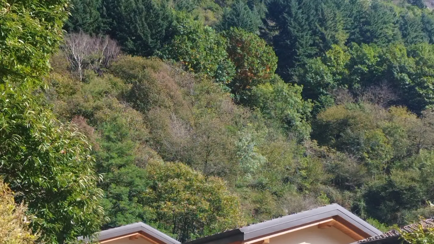 Einfamilienhaus mieten - I Ronchítt 7a, 6703 Osogna - Foto 3