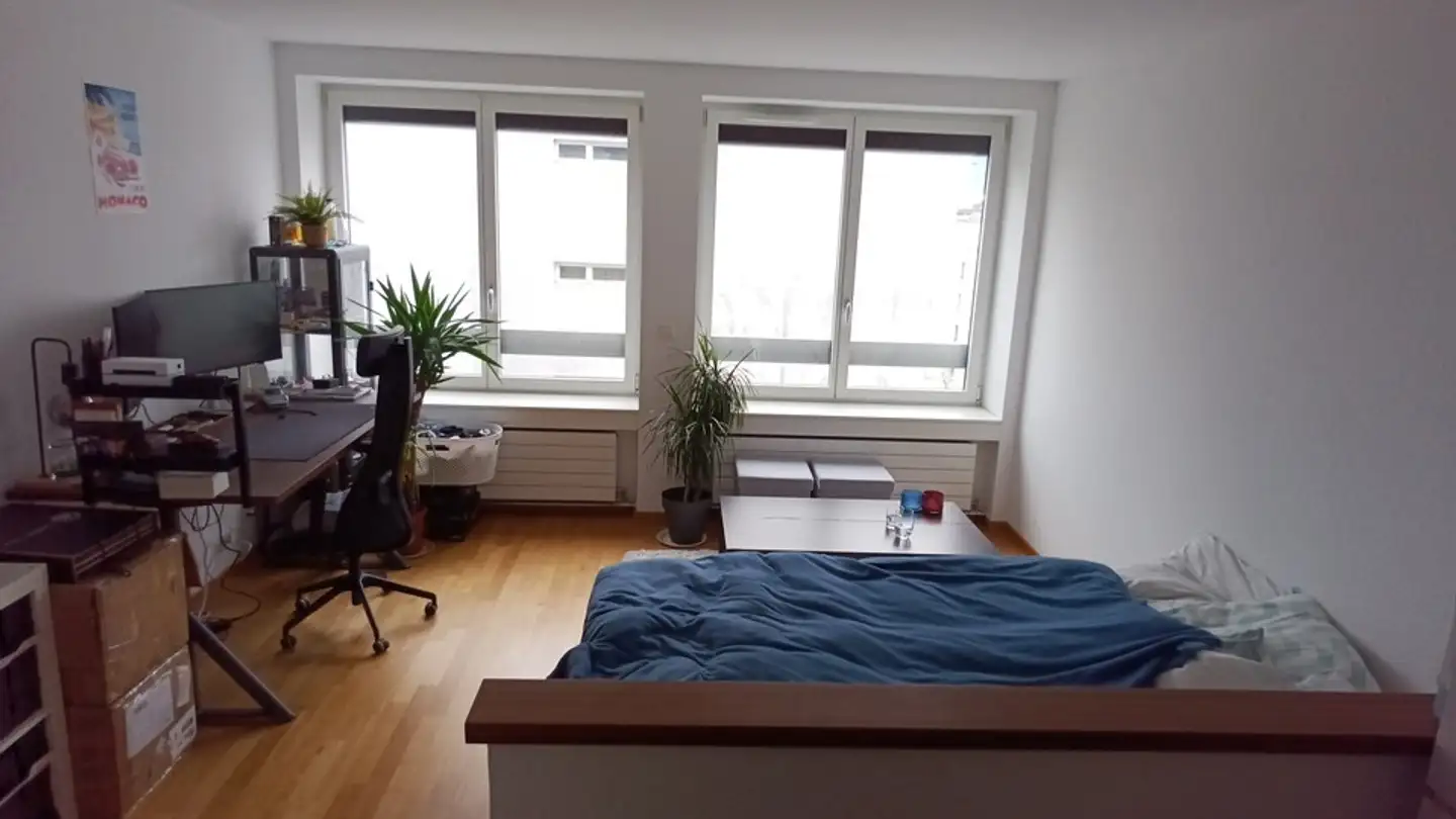 Appartement à louer - Rue de Lausanne, 1202 Genève - Photo 3