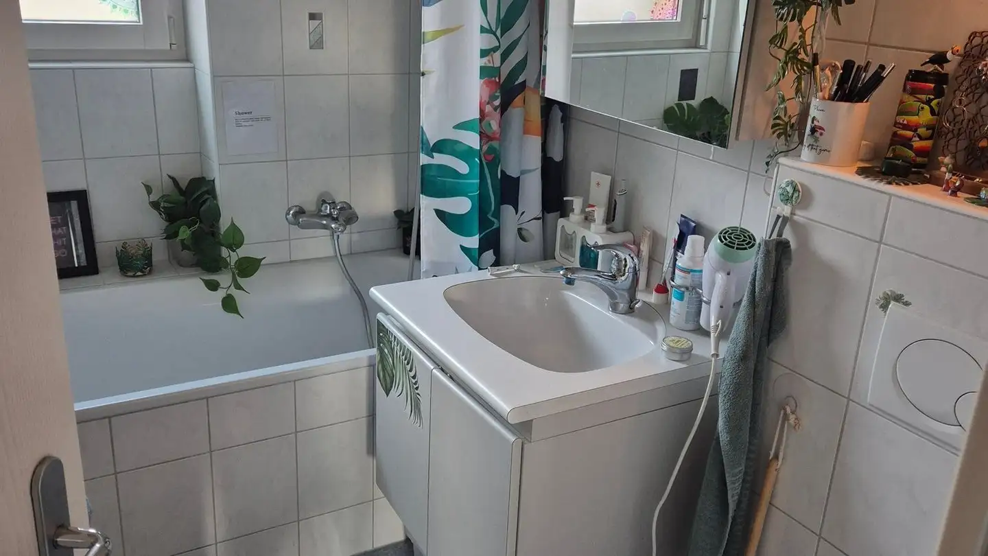Wohnung mieten - Insstrasse 19, 3235 Erlach - Foto 2