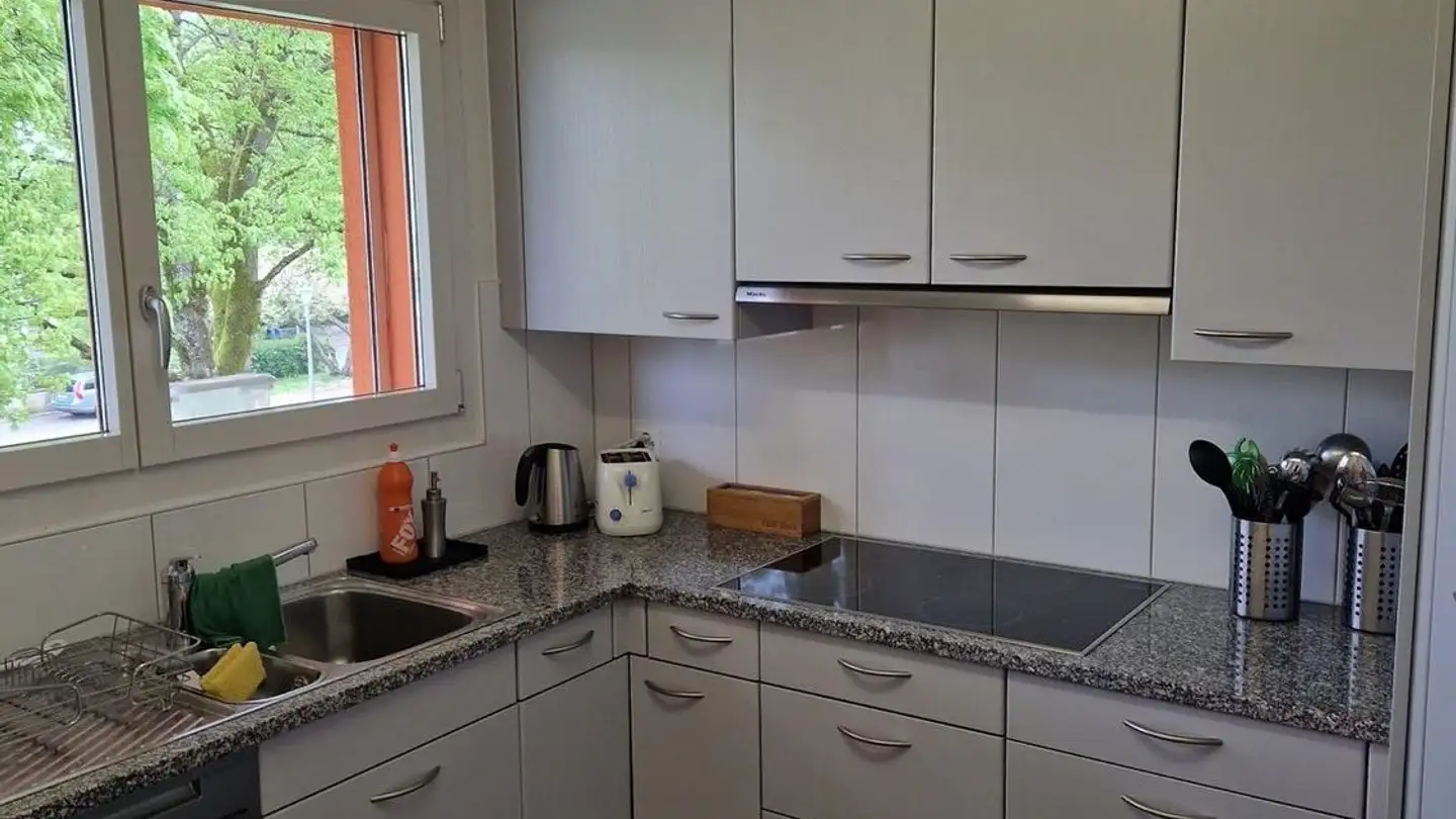 Single room for rent - Sonneggstrasse, 8953 Dietikon - Photo 3