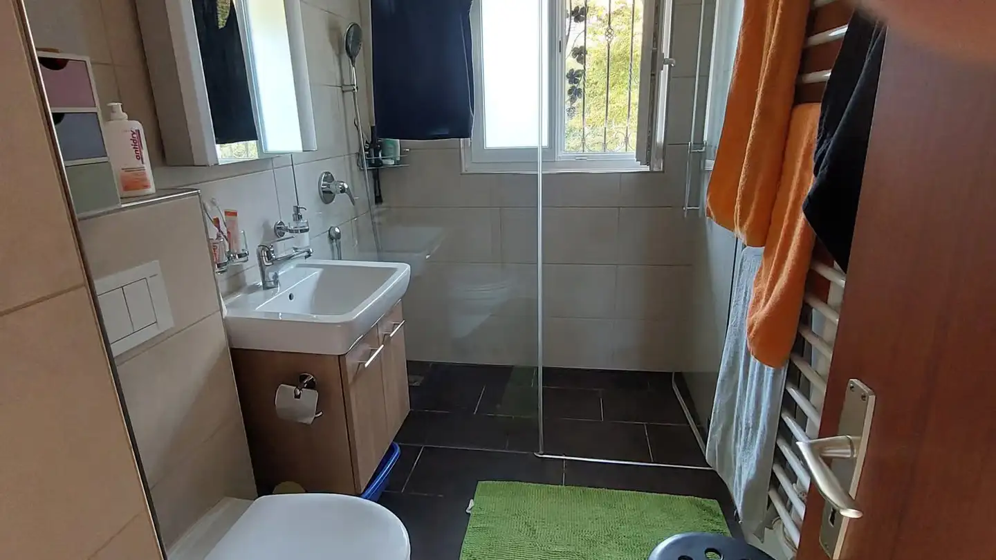 Single house for rent - Erlenweg 21, 8910 Affoltern am Albis - Photo 4