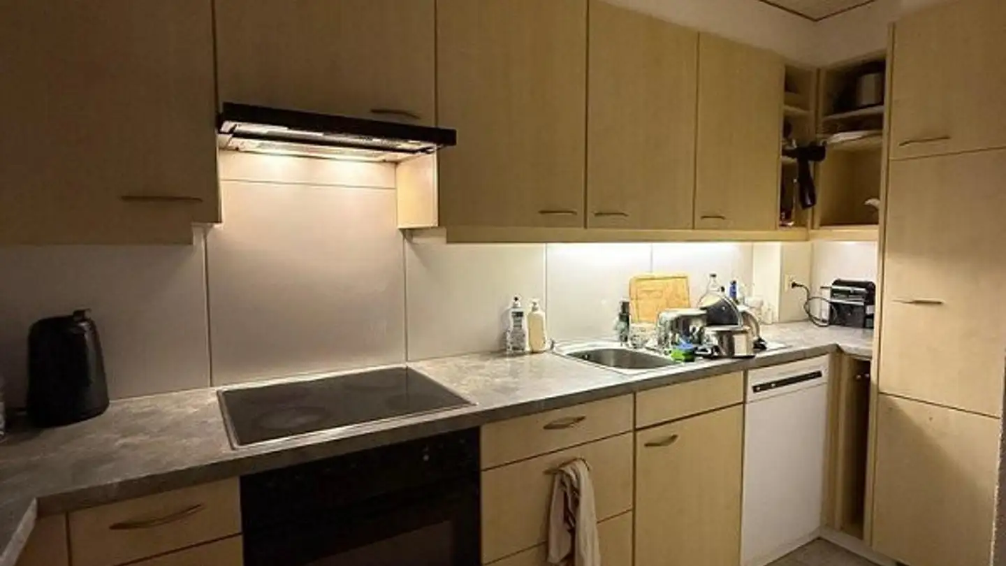 Appartement à louer - Ludretikonerstrasse 23, 8800 Thalwil - Photo 2