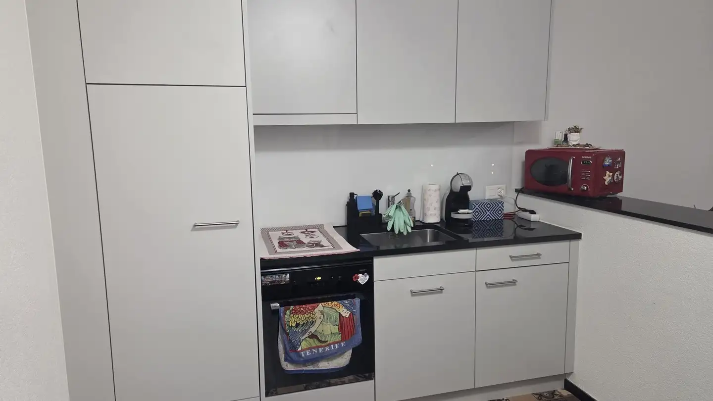 Apartment for rent - Ewiges Wegli 10, 8302 Kloten - Photo 3