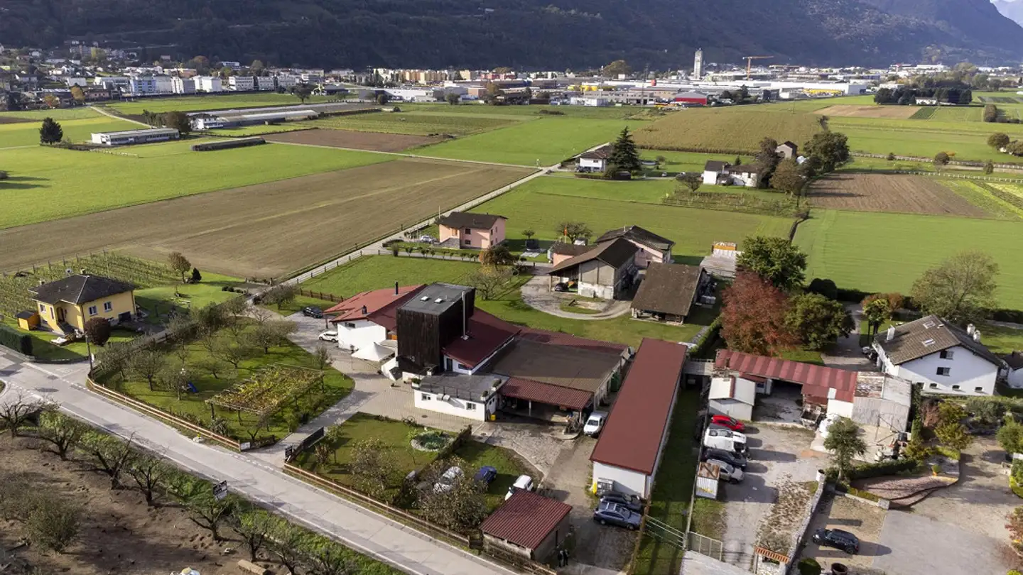Agricultural business for sale - Ala Campagna 37, 6593 Cadenazzo
