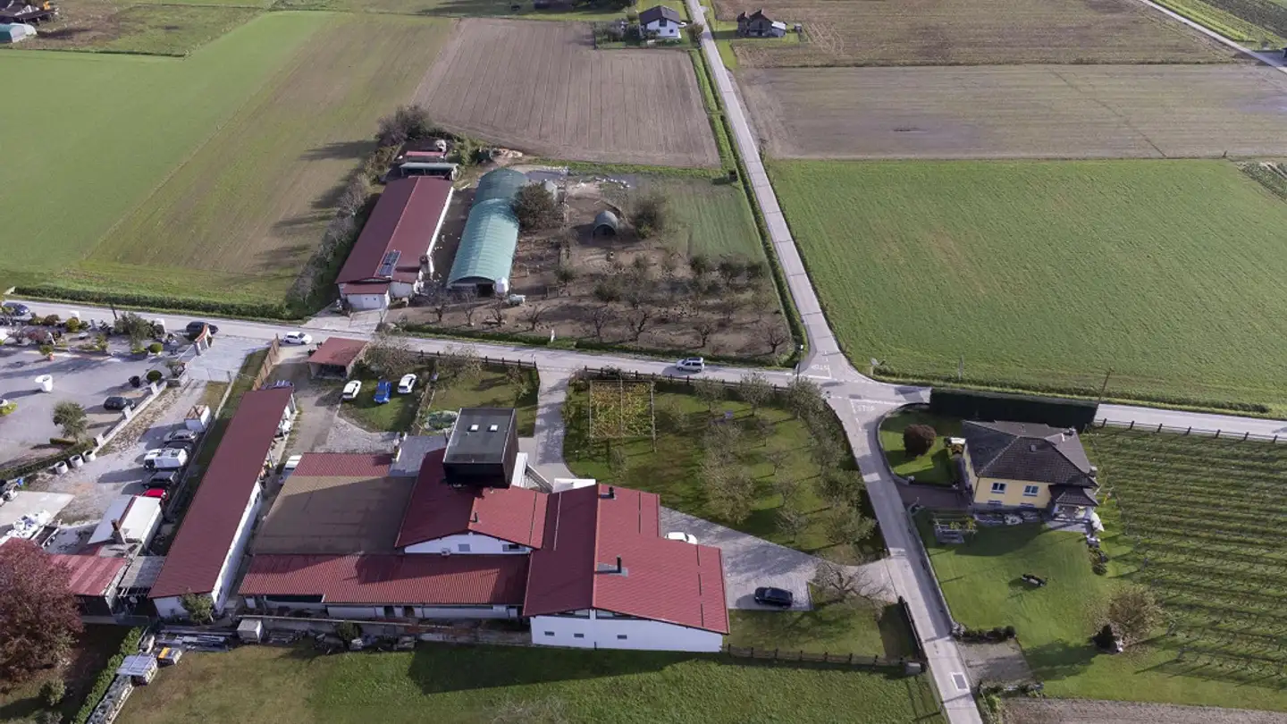 Agricultural business for sale - Ala Campagna 37, 6593 Cadenazzo - Photo 2