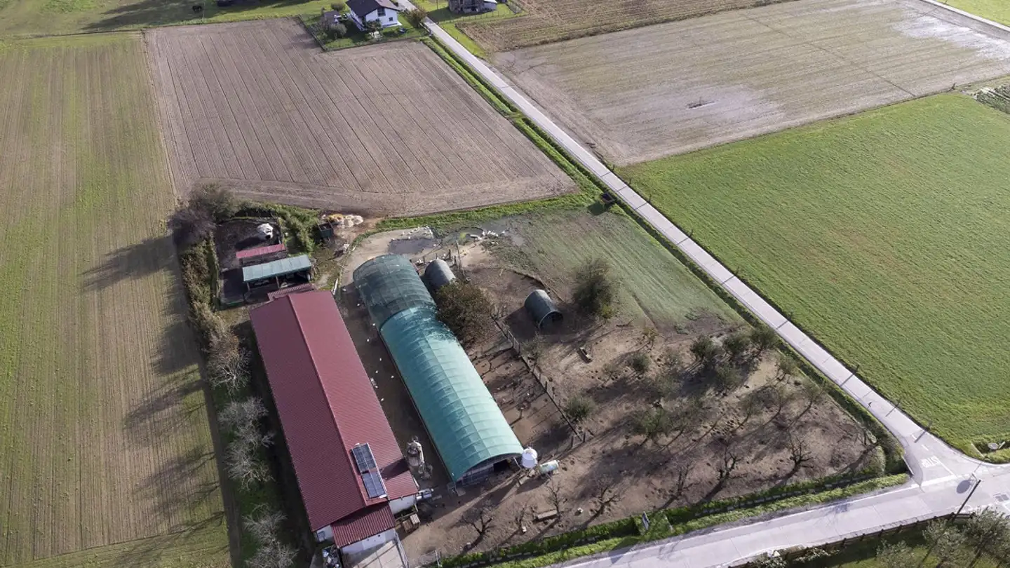 Agricultural business for sale - Ala Campagna 37, 6593 Cadenazzo - Photo 3
