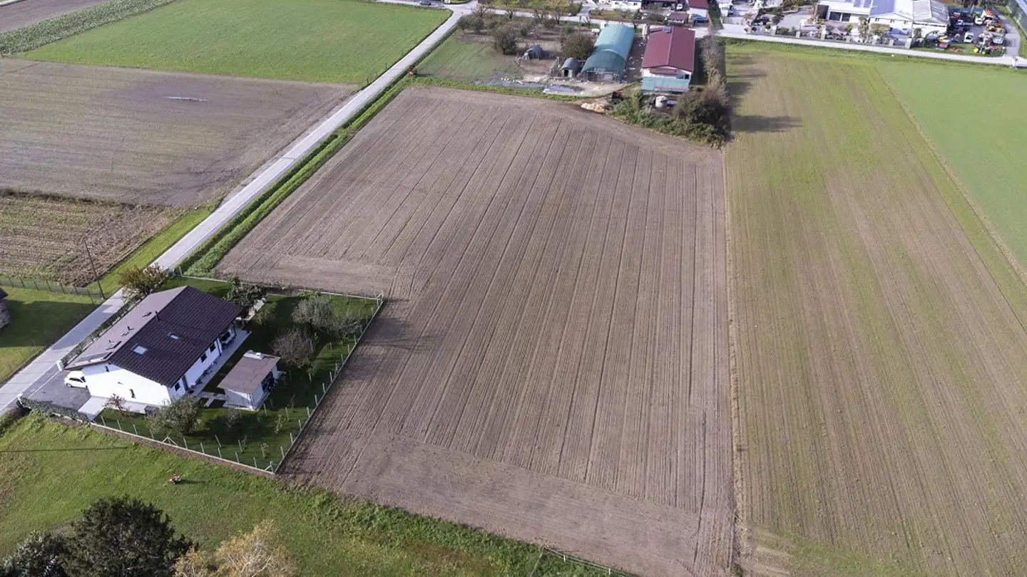 Agricultural business for sale - Ala Campagna 37, 6593 Cadenazzo - Photo 4
