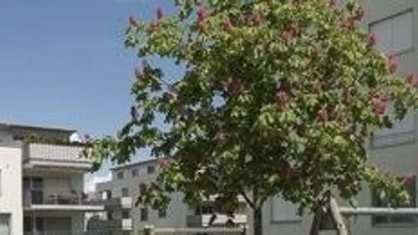 Appartamento in affitto - Sonnenring 9, 8590 Romanshorn - Foto 2