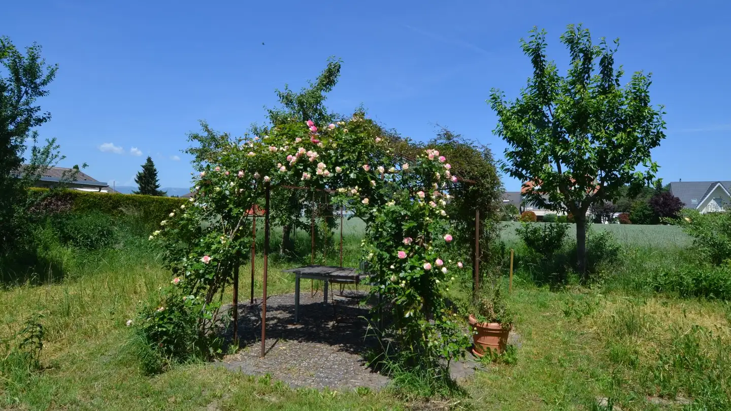 Apartment for rent - Schalunenstrasse 24, 3426 Aefligen - Photo 2