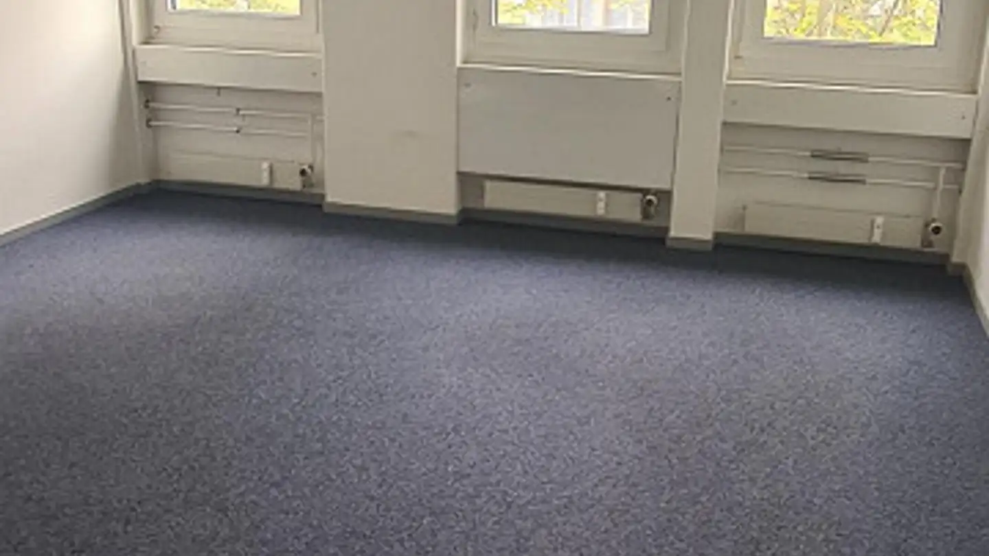 Commerciale in affitto - Schneckelerstrasse 9, 4414 Füllinsdorf - Photo 4