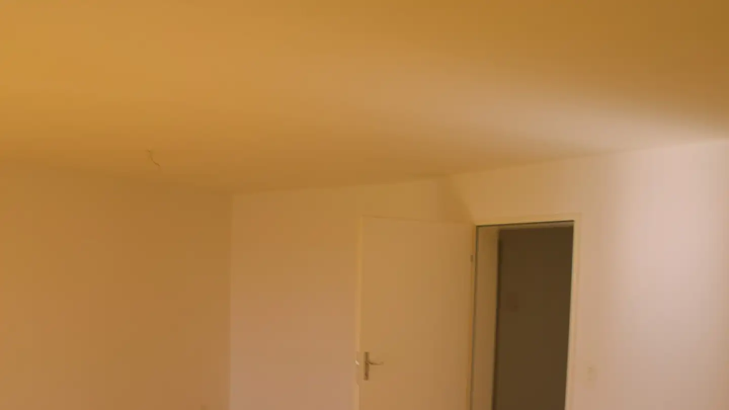 Appartamento ammobiliato in affitto - Wannerstrasse 26, 8045 Zürich - Photo 3