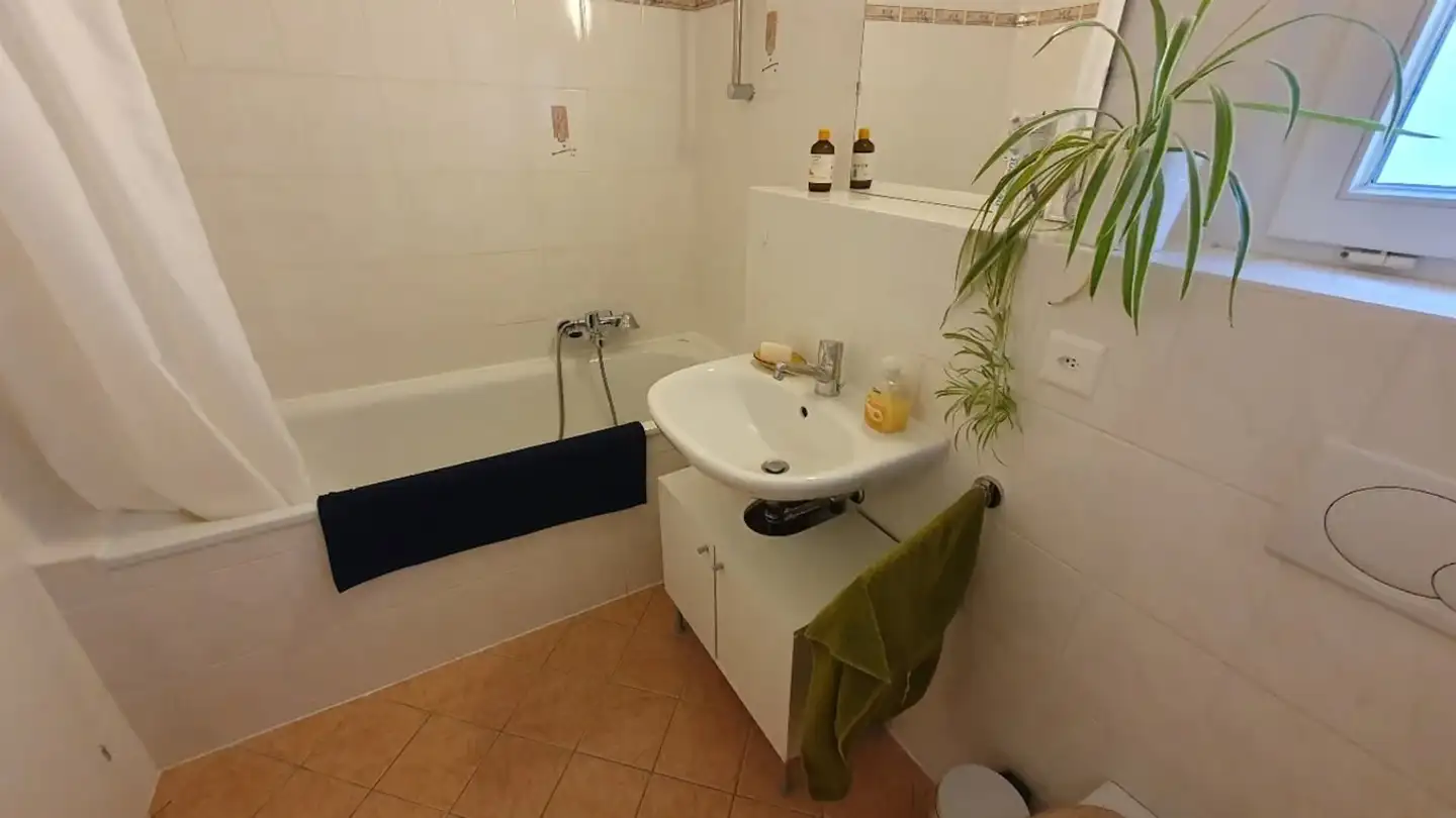 Casa bifamiliare in affitto - Route Du Grand-Lancy, 1212 Grand-Lancy - Foto 3