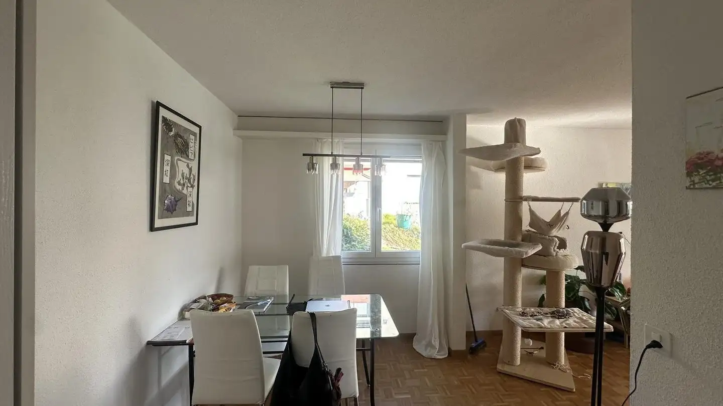 Apartment for rent - Altmoosstrasse 31, 8157 Dielsdorf - Photo 3