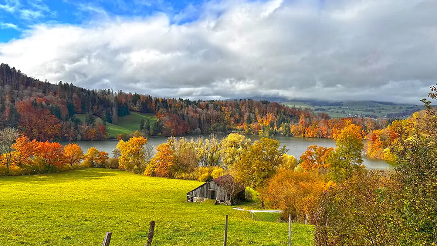 Villa for sale - 1630 Bulle