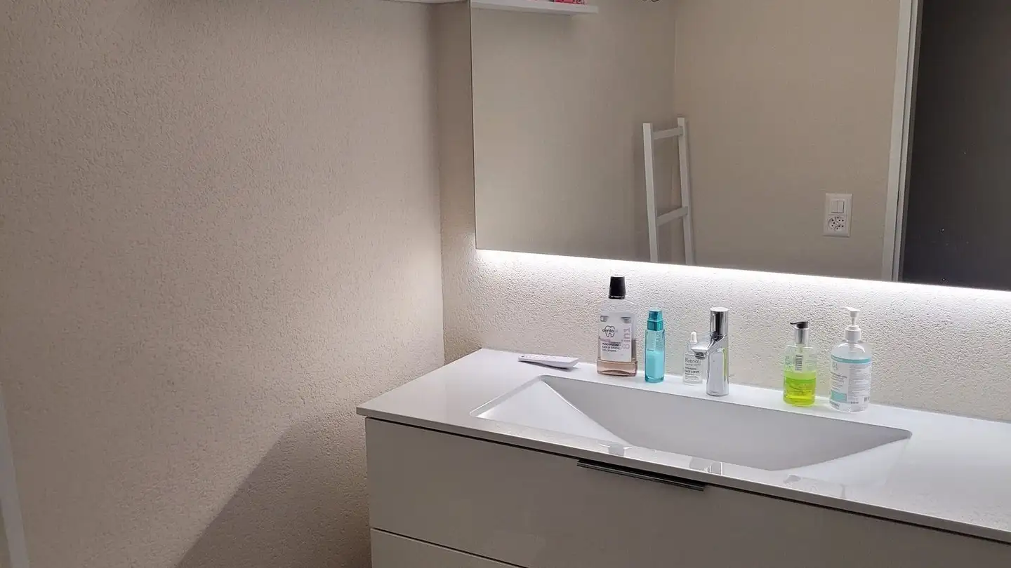 Wohnung kaufen - Staffelackerstrasse, 8953 Dietikon - Foto 3