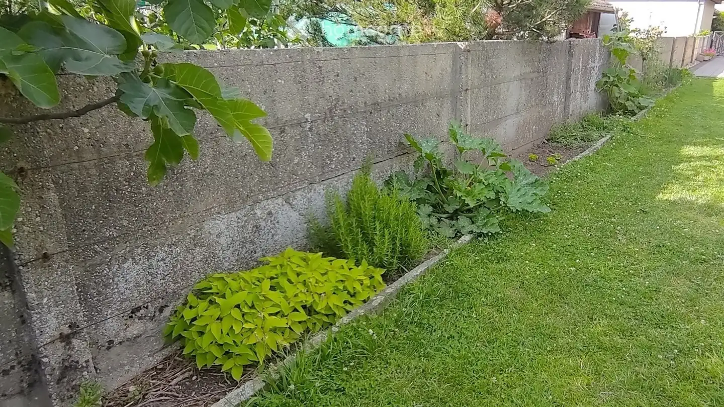 Appartamento in affitto - Rue Des Cygnes, 1400 Yverdon-les-Bains - Photo 4