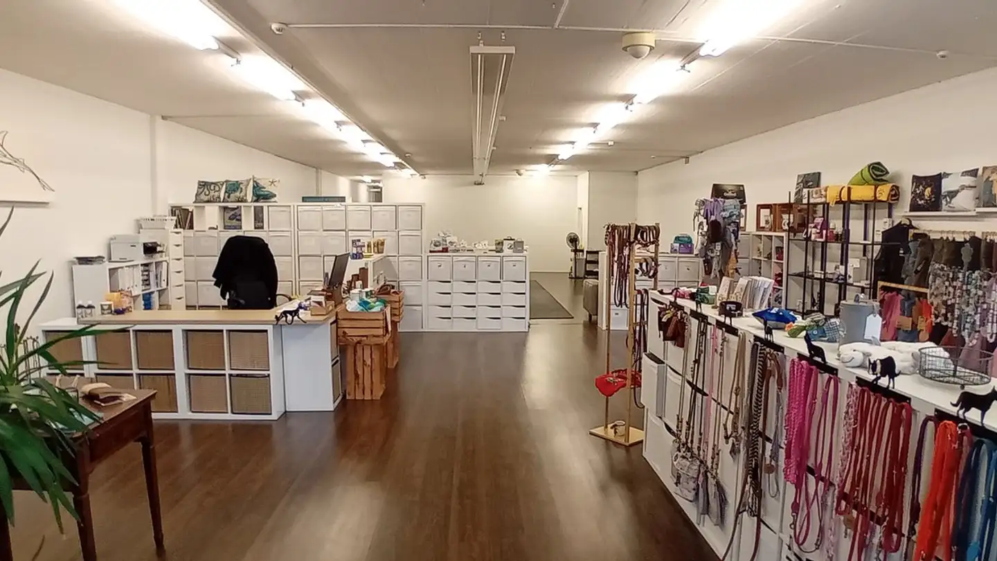 Shop for rent - Güterstrasse 9, 8957 Spreitenbach - Photo 2