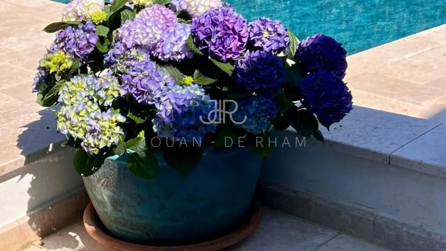 Single house for rent - 1297 Founex