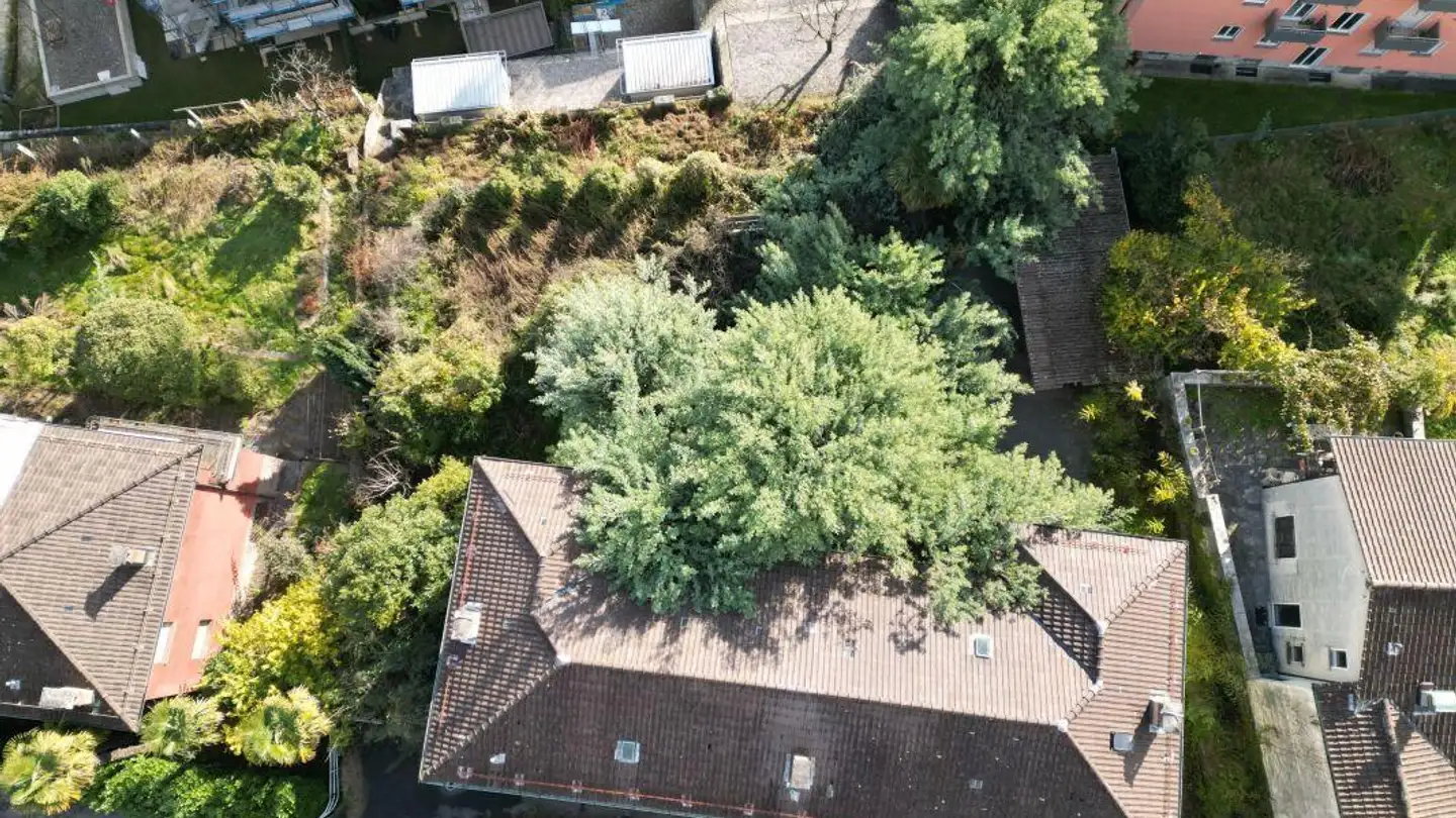 Terreno edificabile in vendita - 6600 Muralto - Foto 3