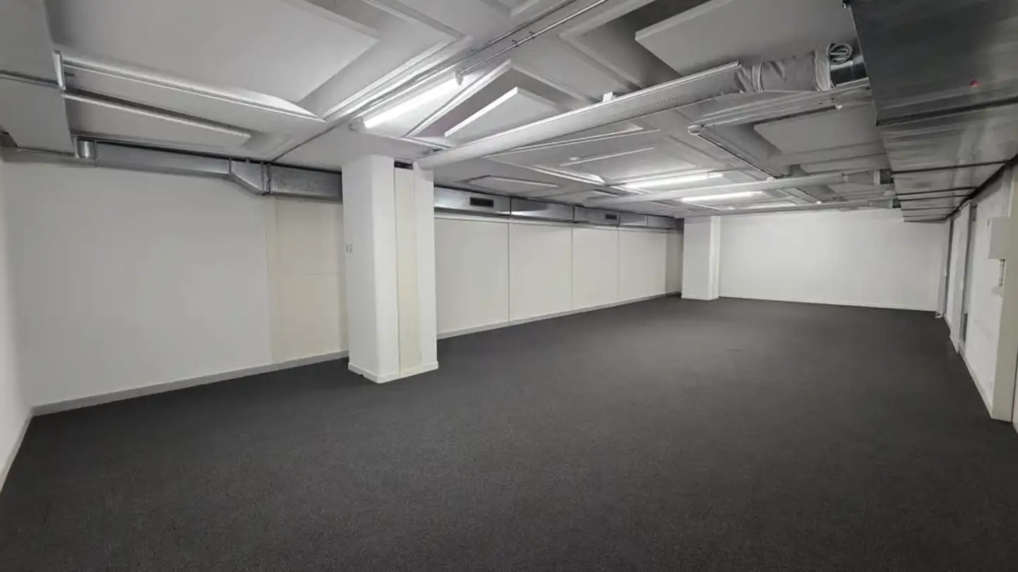 Commercial for rent - Rue De Montbrillant 38, 1201 Genève - Photo 2