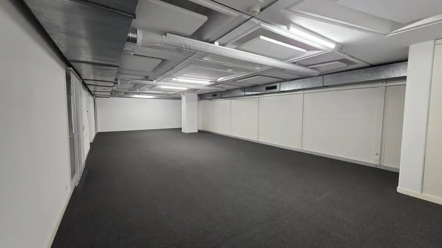 Commercial for rent - Rue De Montbrillant 38, 1201 Genève - Photo 4
