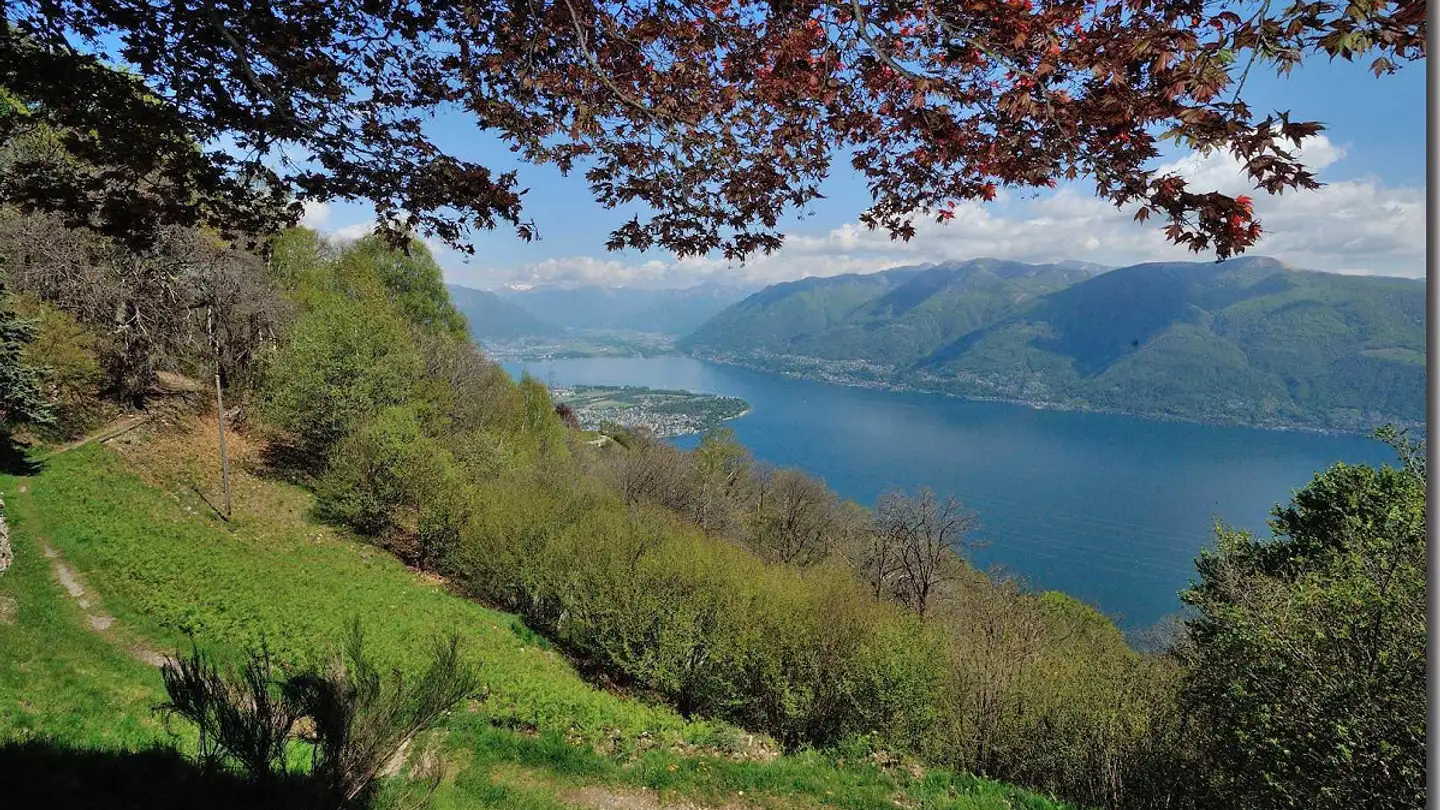 Single house for sale - 6622 Ronco sopra Ascona - Photo 2