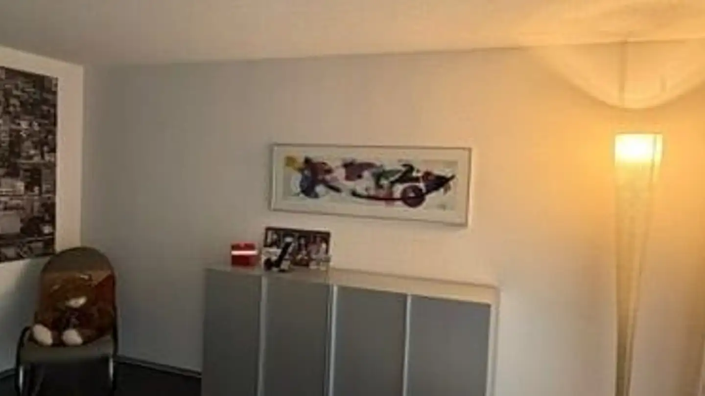 Appartamento in affitto - Landvogt-Waser-Strasse 51a, 8405 Winterthur - Foto 3