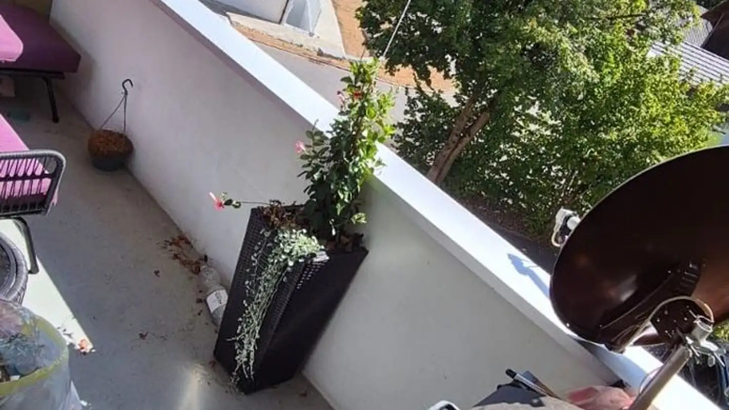 Wohnung mieten - Dorfstrasse 5, 5624 Bünzen - Foto 2