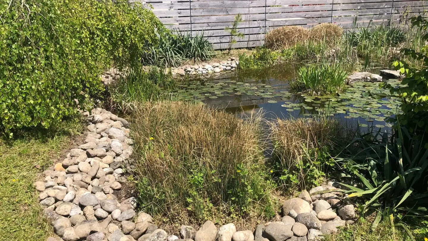 Einfamilienhaus mieten - Sur La Ville 6, 1443 Champvent - Foto 3