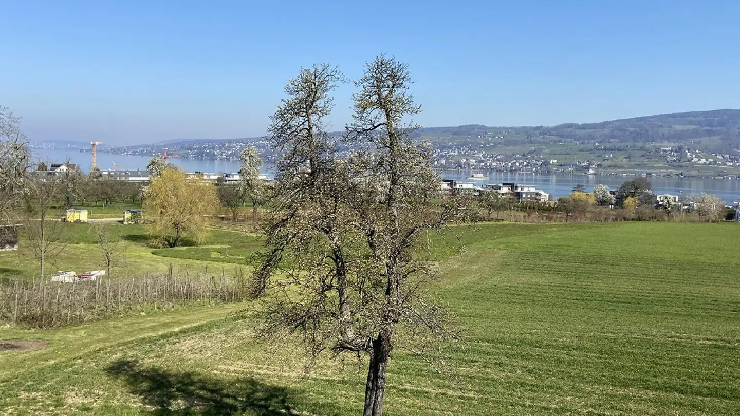 Appartamento in affitto - Neuhofstrasse 8, 8810 Horgen - Foto 2