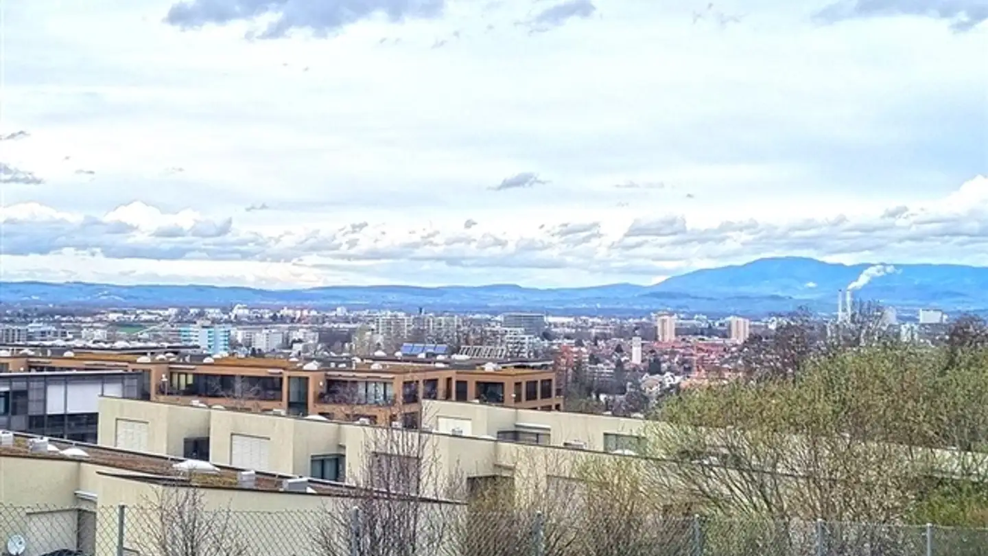 Einfamilienhaus kaufen - 4123 Allschwil