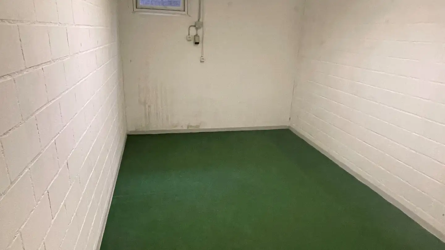 Espace de stockage à louer - Lenzstrasse 52, 5734 Reinach AG