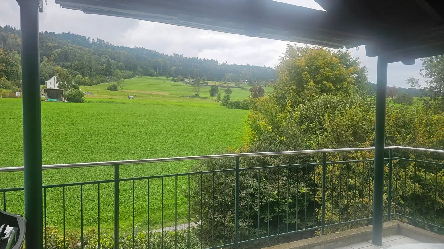 Appartamento in affitto - 8132 Egg b. Zürich - Photo 2