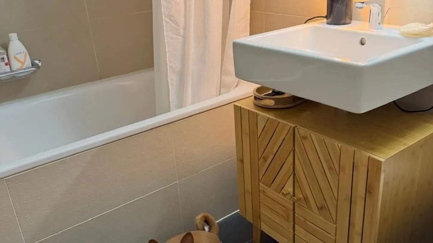 Appartement à louer - Allée Des Cèdres 14, 1022 Chavannes-près-Renens - Photo 4