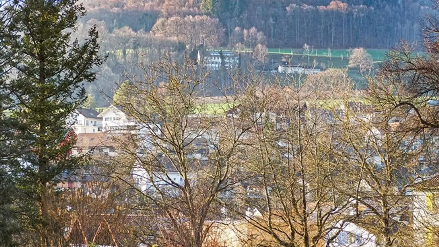 Casa singola in vendita - 4460 Gelterkinden - Photo 2