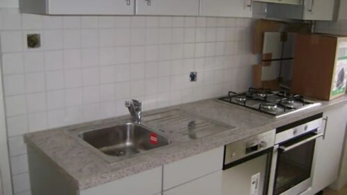 Appartement à louer - Hegenheimerstrasse 240, 4055 Basel - Photo 2