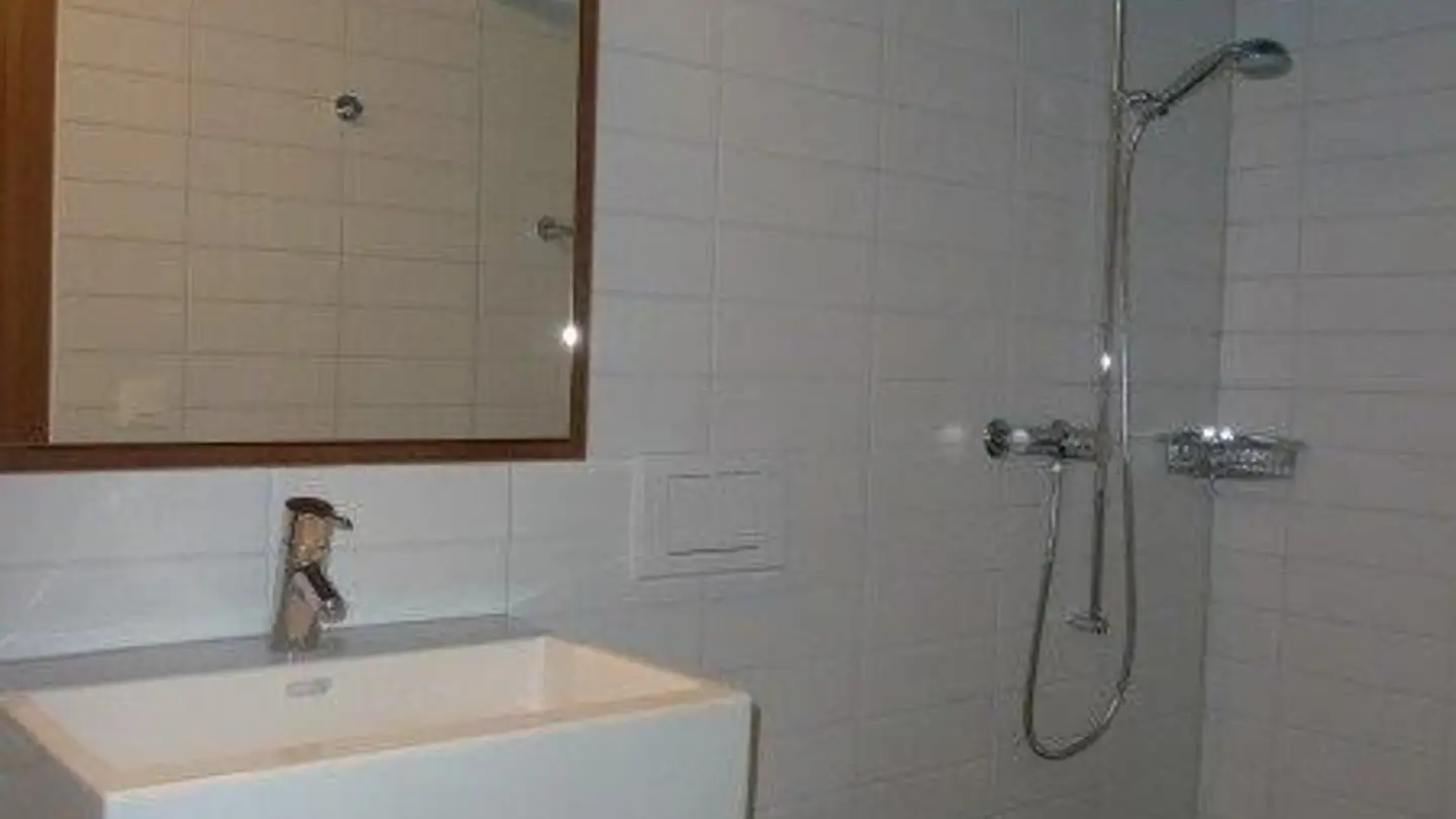 Loft in affitto - Else-Züblin-Strasse 112, 8404 Winterthur - Foto 4