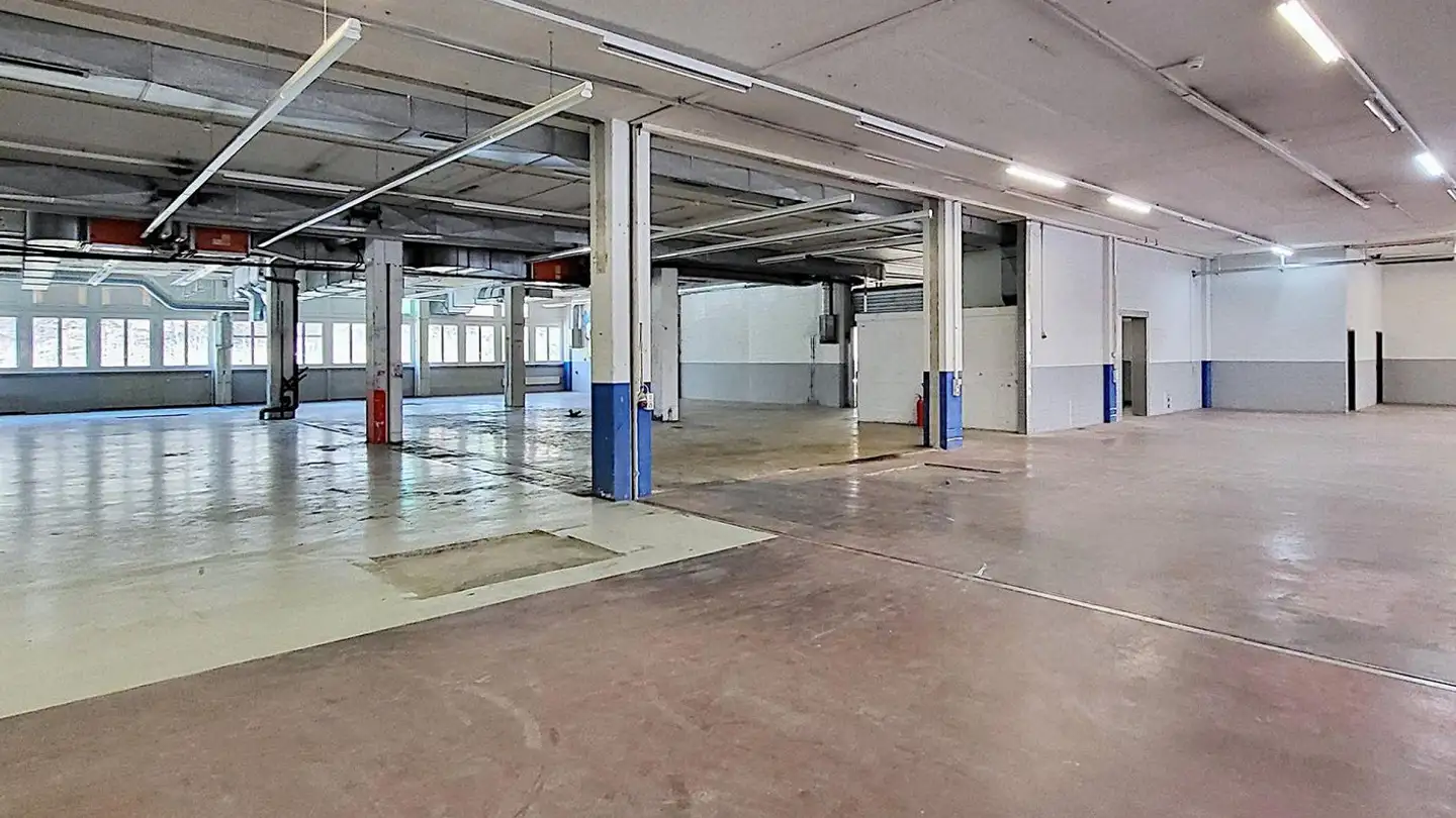 Commerciale in affitto - Gewerbestrasse 16, 8132 Egg b. Zürich - Foto 3