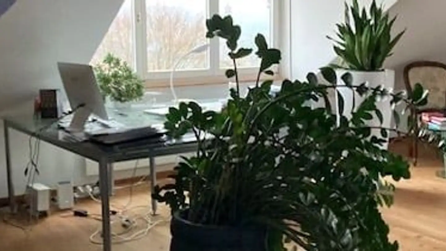 Duplex for rent - Aegertenstrasse 18, 4118 Rodersdorf - Photo 3